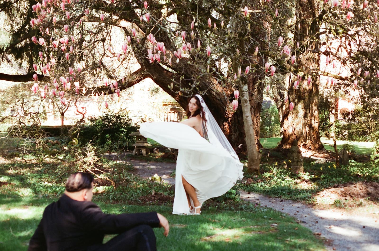 Bride twirling her wedding dress beneath a blooming magnolia tree at Lakewold Gardens, photographed on CineStill 400D film.